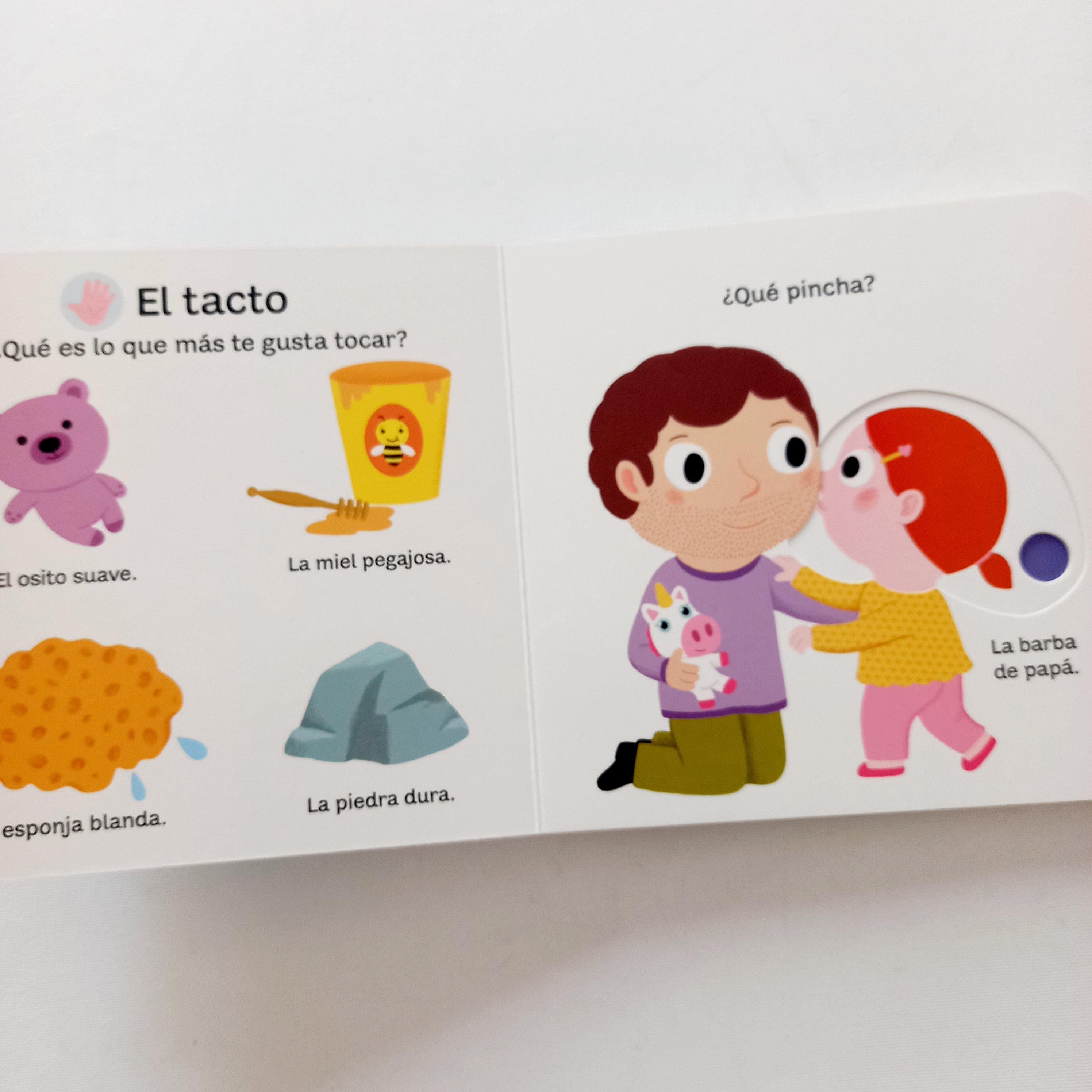 Mi libro de los 5 sentidos. Pequeños curiosos Mi libro de los 5 sentidos. Pequeños curiosos